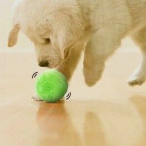 Kutyajáték, kutya labda, interaktív labda kutyáknak kép