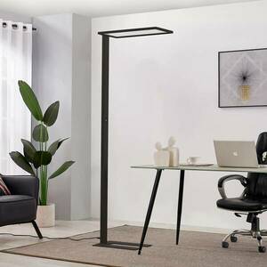 Prios Taronis LED-es irodai állólámpa, fényerőszabályzóval, fekete színben kép