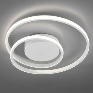 LED mennyezeti lámpa Zibal, fényerőszabályzó, fehér kép