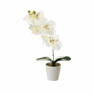 Műnövény (magasság 45 cm) Orchid – Casa Selección kép