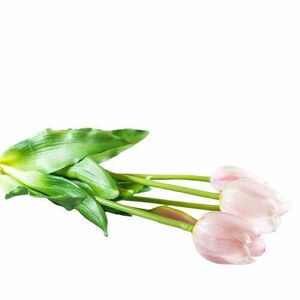 Gyönyörű 5 szál rózsaszín tulipán kép