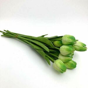 Felül zöld gumi tulipán, 1db kép