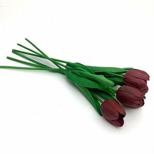 Bordós-barna tulipán, 1db kép