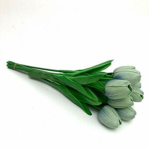 világos menta tulipán, 1db kép