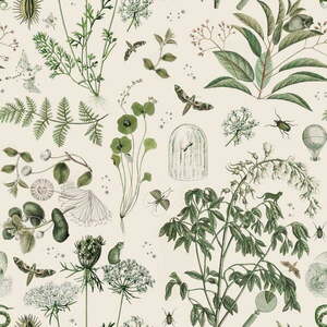 Tapéta nem szőtt anyagból 100 cm x 280 cm Green Botanical Stories – Dekornik kép