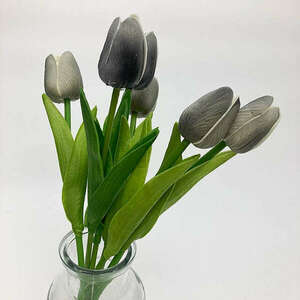 Szürke tulipán 1 db kép