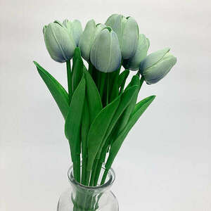 világos menta tulipán kép