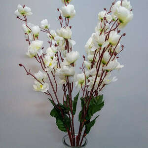 Fehér tavaszi virágágak kép