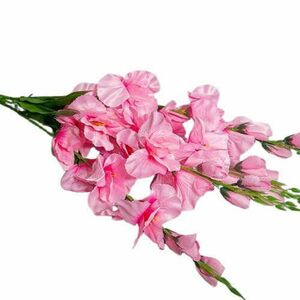 Rózsaszín kardvirág csokor kép