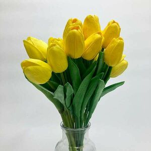 Sárga tulipán kép