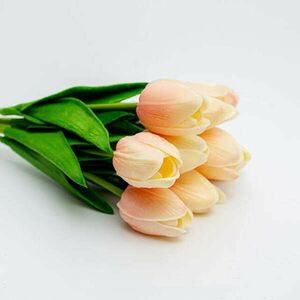 Cirmos rózsaszín-narancs tulipán kép