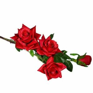 Több ágas piros rózsa kép