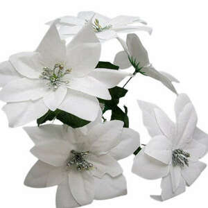 5 szálas fehér mikulásvirág csokor kép