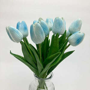 Világoskék cirmos tulipán kép