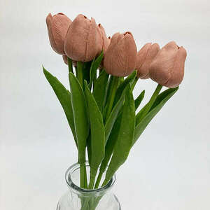 Barna tulipán kép