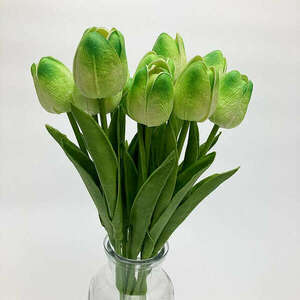 Felül zöld gumi tulipán kép