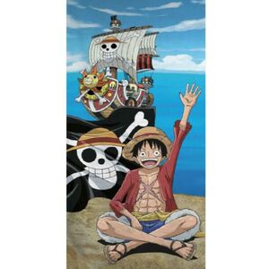 One Piece (AYM988693) kép