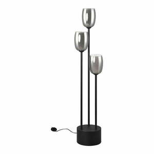 Fekete-ezüstszínű állólámpa üveg búrával (magasság 140 cm) Barret – Trio Select kép