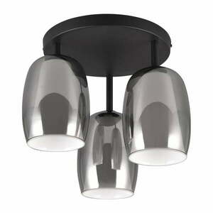 Fekete-ezüstszínű mennyezeti lámpa üveg búrával ø 14 cm Barret – Trio Select kép