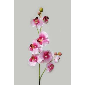 Fehér-rózsaszín mű orchidea 80cm kép