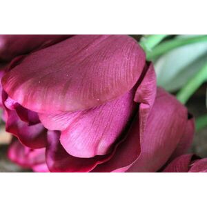 Lila mű tulipán levelekkel - 1 darab, 67cm kép