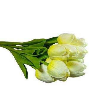 Sárga cirmos tulipán kép