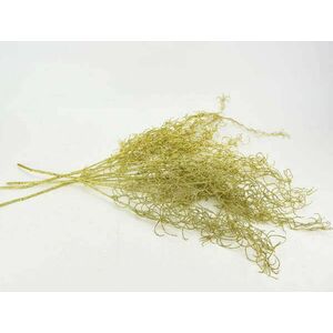Asparagus csillámos arany 4db/csomag kép