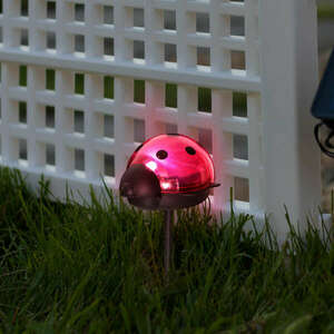 Garden of Eden LED-es szolár lámpa - katica - hidegfehér - piros... kép
