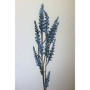 Kék mű mezei fű 67cm kép