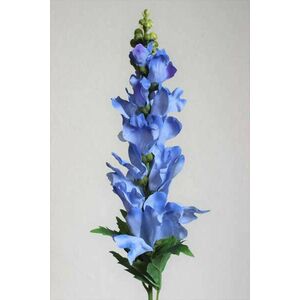 Kék mű delphinium 80 cm kép