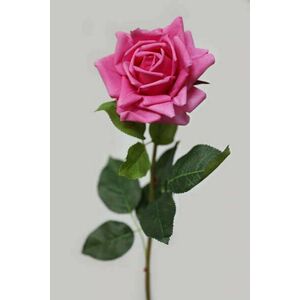 Ciklámen mű virágzó rózsa 74cm kép