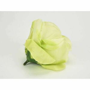 Rózsafej zöldsárga 7cm, 1db kép