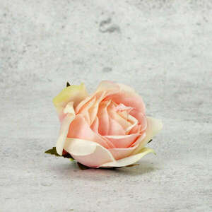 Rózsafej - halvány rózsaszín, 1db kép