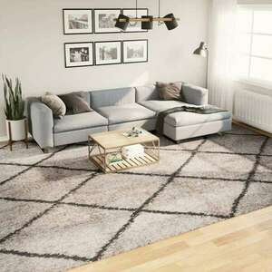 vidaXL bézs és antracit hosszú szálú bozontos modern szőnyeg 300x400cm kép