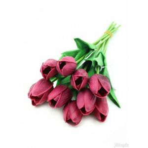 Bíbor gumi tulipán kép