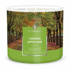 Caramel Apple Lane illatgyertya, égési idő 35 óra - Goose Creek kép