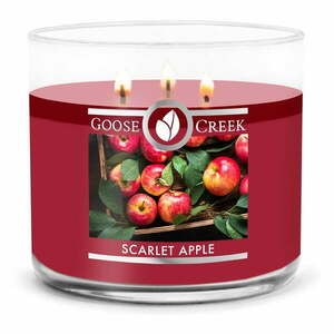 Scarlet Apple illatgyertya, égési idő 35 óra - Goose Creek kép