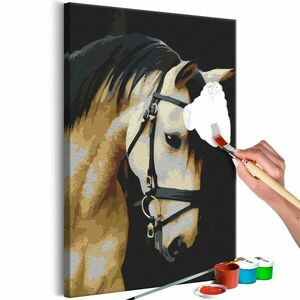 Kép festése számok szerint ló csodálatos portréja kép