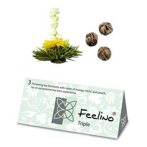 Feelino Teavirágok, 6 különböző fajta, egyenként csomagolva, nagyon produktív kép