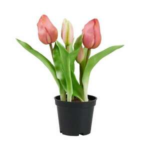 FLORISTA tulipán cserépben, rózsaszín 24 cm kép