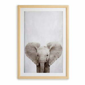 Elephant keretezett falikép, 30 x 40 cm - Surdic kép