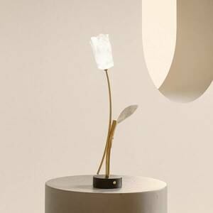 Slamp LED-es újratölthető asztali lámpa Tulipán, fekete talapzat kép