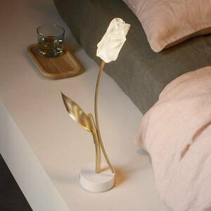 Slamp LED-es újratölthető asztali lámpa Tulipán, fehér talpú kép