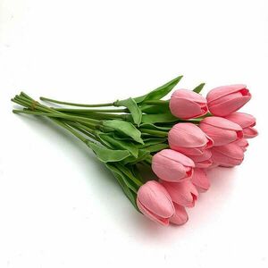 Világosabb rózsaszín tulipán, 1db kép