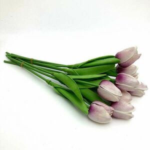 Lilás-magenta tulipán, 1db kép