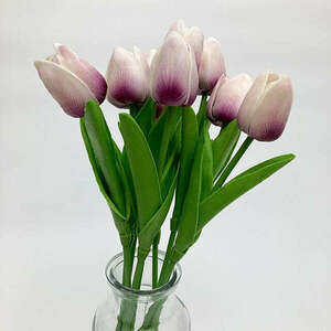 Lilás-magenta tulipán kép