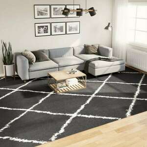vidaXL fekete és krém hosszú szálú bozontos modern szőnyeg 300 x 400cm kép