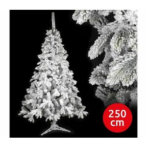 Karácsonyfa RON 250 cm lucfenyő kép