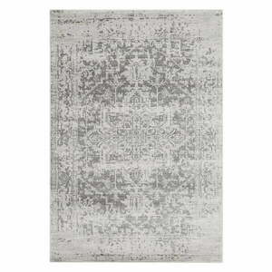 Szőnyeg 160x230 cm Nova – Asiatic Carpets kép