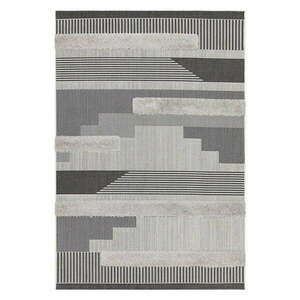Szürke kültéri szőnyeg 160x230 cm Monty – Asiatic Carpets kép